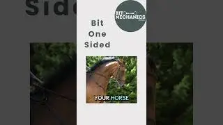 Identifying bit-related pain behaviours 🐴 #horses #horseriding #horsebits #bitmechanics