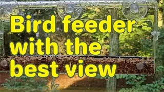 Most clear Bird feeder 🐦 #ermete #birdfeeder