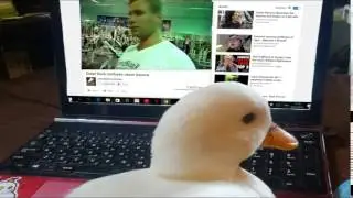 Who the Fuck is Dolan Duck?