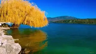 Giovanni Marradi- Hey 🎶🌹
