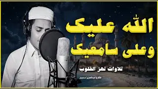 تلاوات تحيي العظام وهى رميم .. شفاء ووقاية، نورٌ في البيوت وحصنٌ للمؤمنين.