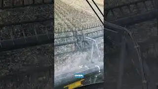 Эта голова ДЕЙСТВИТЕЛЬНО подвижна!