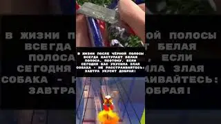 «Белая полоса» - Анекдот | #shorts #приколы #юмор #tiktok #tiktokviral #viral #subscribe #funny