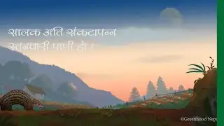 Video PSA: Pangolins in Nepal [Nepali]