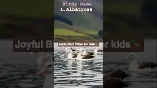 Learn birds name for Kids #birds #birdlovers #birdsvideo # albatross