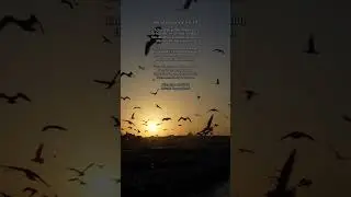 Uğur PASİNLİ - [Bilemezdik Böyle Hayatı] - Arabesk - Türkçe Pop - 2026