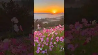 Less scrolling and more nature #natureaesthetics