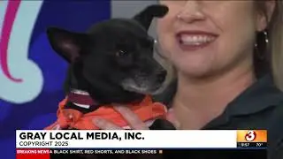 FREE Drive Thru Vet Clinic Event for Pets!