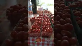 Fruit Acres Farm Market in Coloma, Michigan #farm #farmstand #freshproduce #michigan