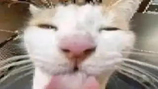 Pinkcore