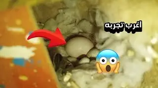 سويت اغرب تجربه طلب من احد المتابعين😱سويت اكبر كميه خضروات للمحميه🤩 