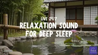 LIVE 24/7 &ndash; Japanese Zen Spa Music for Deep Sleep & Relaxation 😴🌿 | Rain Bamboo Water Sounds