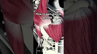 How to gain muscle growth? #musclegain #musclegym #musclegrowth #musclegrowthtips #physio  #shorts