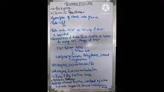 Chemical reaction by Enzymes| Class 11-Biomolecules | NCERT BIOLOGY| #ncert #biology
