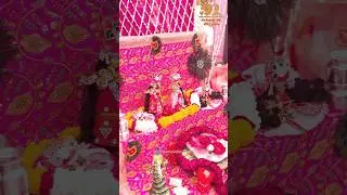 Vivah Utsav Amritsar #jaijai #amritsar #utsav
