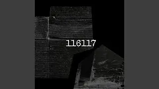 116117