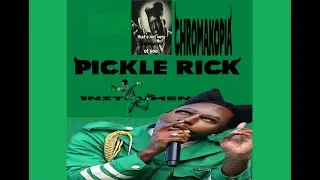 Tyler, The Creator - PICKLE RICK (instrumental)