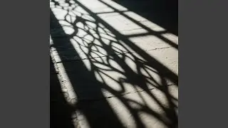 Revving in the Shadows