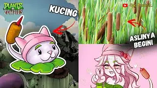 Cat-Like Plants! The Origins of Cattails in Plants vs. Zombies