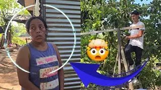 OMG! Doña Estela Salio Enojada no Le Gusto el Trabajo de los chicos!🤯🤬