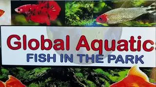 Global Aquatics, fish store, tour.