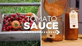 Harvesting Tomatoes & Making Pasta Sauce | Allotment vlog