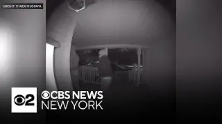 Video shows alleged burglars breaking into Clifton, N.J., home