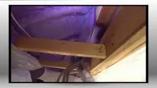 Holmes Inspection Clip # 5 