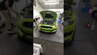 OPT7 LED Turn Signals and ZL1Addons Tow Hook on the Shelby GT350! #gt350 #shelbygt350 #cars #mustang