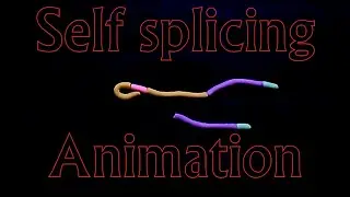 RNA self splicing
