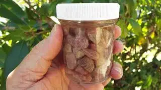 AAA Grade Rhodochrosite stones  #01