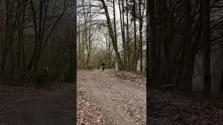 Trail de la Soupe (Borzee Forest) La-Roche-en-Ardennes #trailrunning #belgium #2023