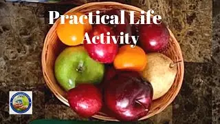 Practical Life Activity - washing fruits