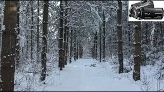 Sony Handycam HDR-SR12 - Quality TEST [winter forest]