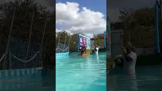 Торжественное вступление не всегда проходит по плану.. 🤣🐾💕💦🇬🇧
