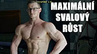 3 ZÁKLADNÍ POŽADAVKY PRO MAXIMÁLNÍ SVALOVÝ RŮST