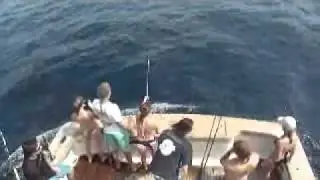 SeaFix