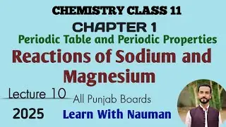 Reaction of Sodium and Magnesium || Chapter 1 || Periodic Table and Periodic Properties || Class 11