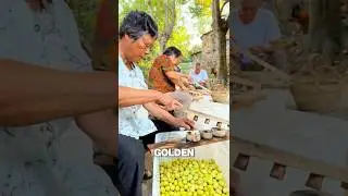 200 Cuts on One Jujube&hellip; But Why? #candiedjujubes #shorts