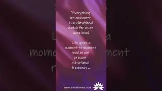 Reflection. Quote by Lynne Forrest #Shorts