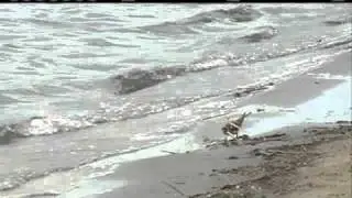 Carter Lake Getting New Life