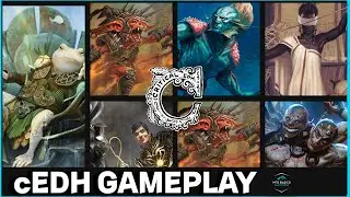 HOW MANY RHYSTIC STUDIES IS ENOUGH? cedh gameplay:  Wrongsi v Bluefarm v Rogthras v Glarb