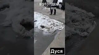 #дусяшым 