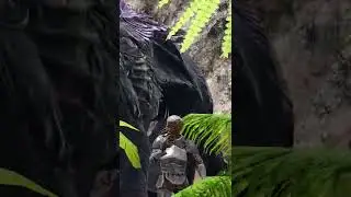 CASTORERA con MADERA 🤣 Ark Memes | pronene4