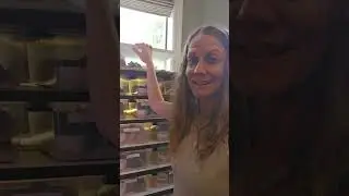 Hognose Snake Room walk-through with Custom Rack design/build by me!