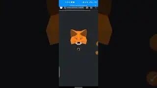 MORPH TESTNET TUTORIAL