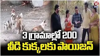 200 Dogs Poisoned In 3 Villages Under Machareddy PS | Kamareddy And Hanamkonda Dogs Issue  | V6 News