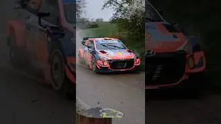 Wet Test i20 WRC+ & M3 E30 Gr.A - Neuville family