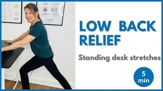 Daily Lower Back Relief | Standing Desk Stretch (5 Minutes)