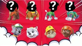 Wrong Head Paw Patrol Family | Wrong Head Puzzle World | Match The Heads